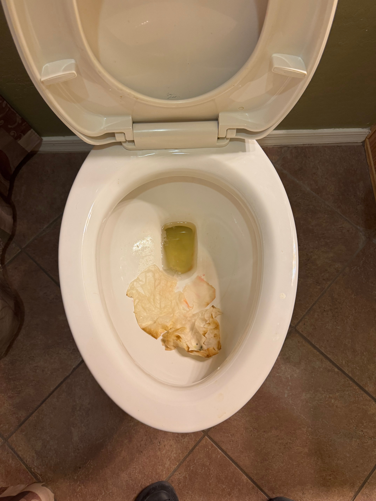 Toilet Deep Clean — before